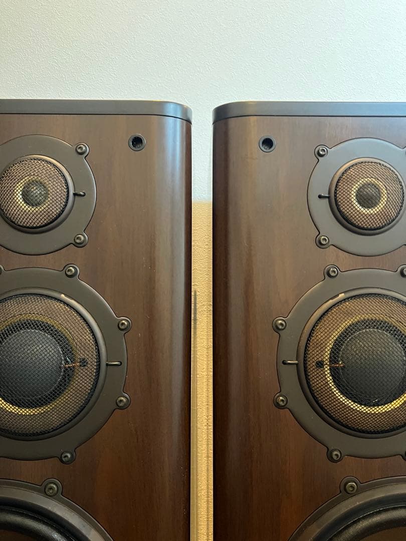 タケポン ①左 2点同時購入必須 DIATONE DS-1000Z