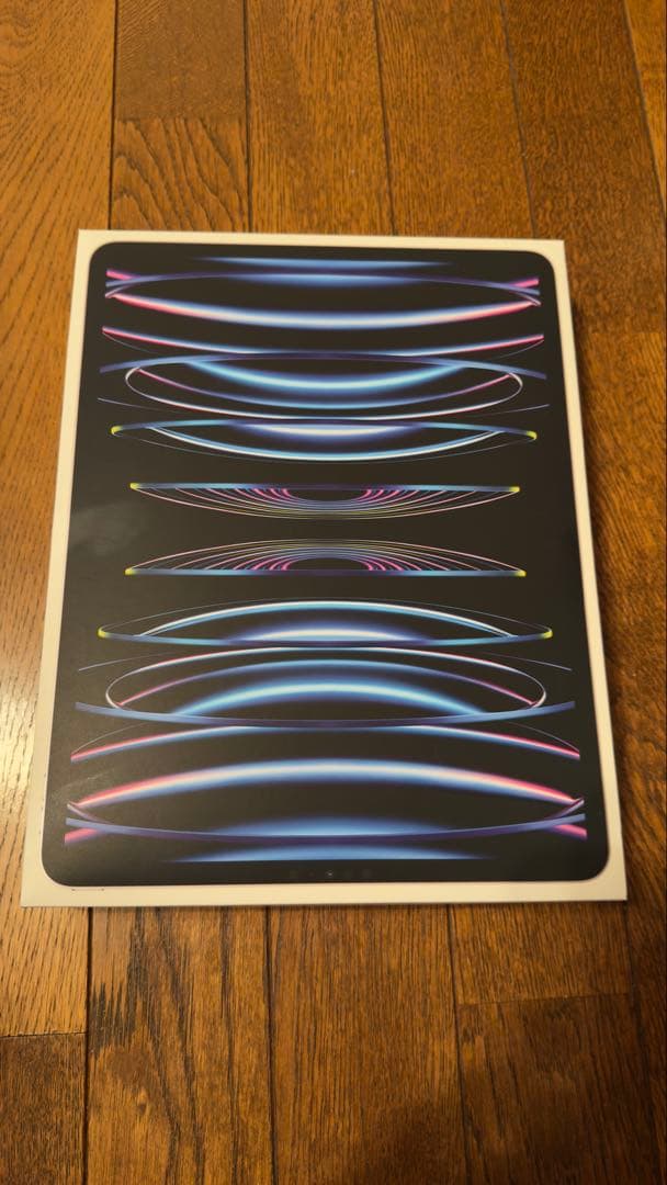 ipad pro12.9(第6世代)wifi 256G+純正Smartfolio