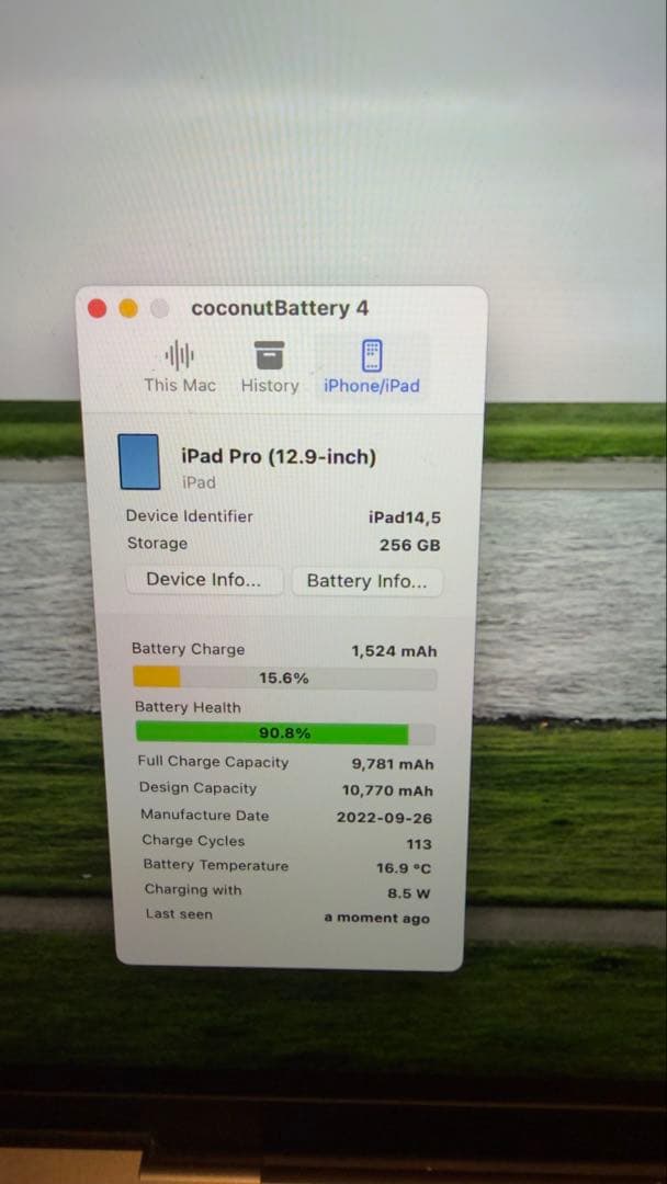 ipad pro12.9(第6世代)wifi 256G+純正Smartfolio