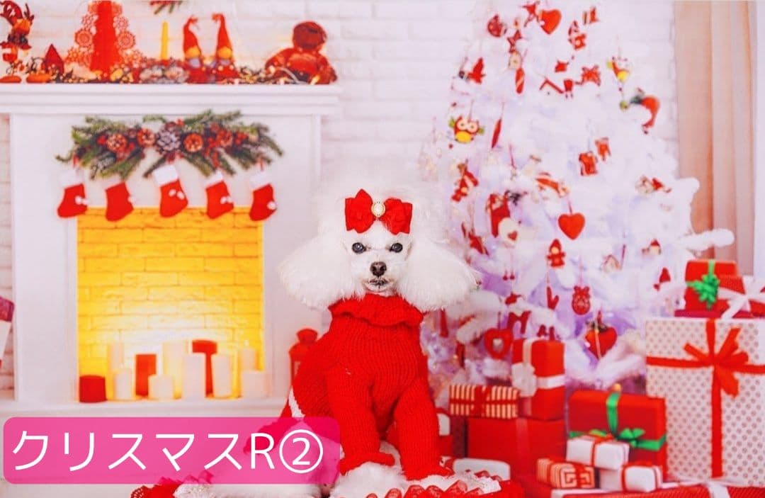 紅葉　背景布秋XD③　ペット撮影用　80×120cm　トリミングチョーカー販売中