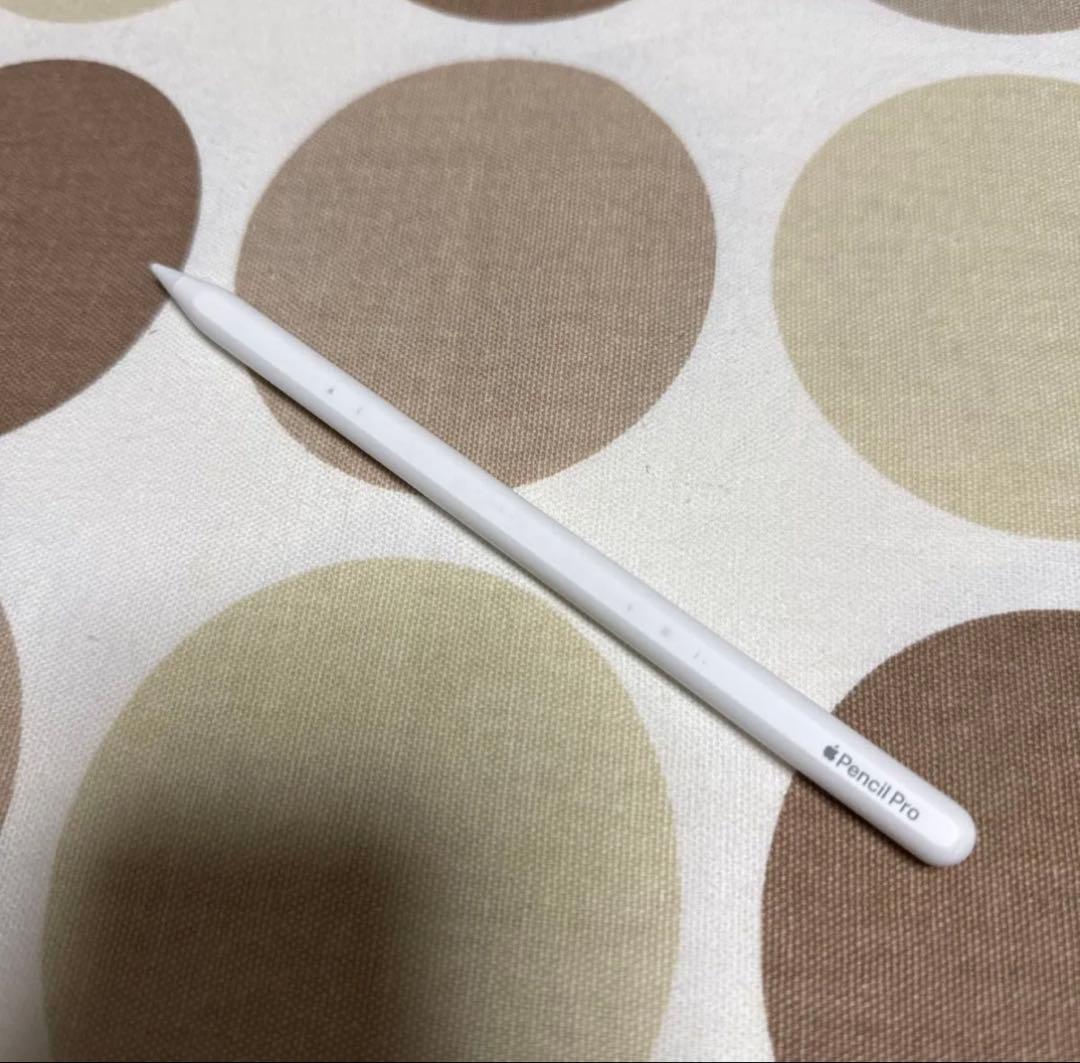 iPad PRO(M4) 11インチ 1TB /Apple PencilPRO
