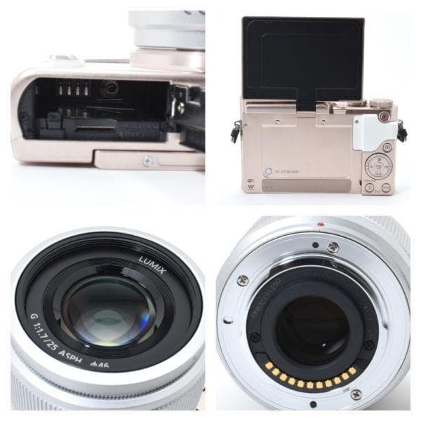 【美品】パナソニック LUMIX DC-GF10W / G 25mm/F1.7
