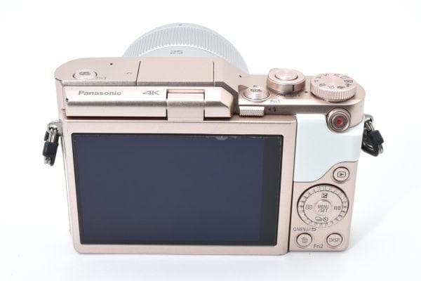 【美品】パナソニック LUMIX DC-GF10W / G 25mm/F1.7