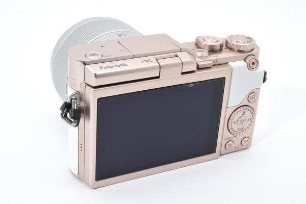 【美品】パナソニック LUMIX DC-GF10W / G 25mm/F1.7