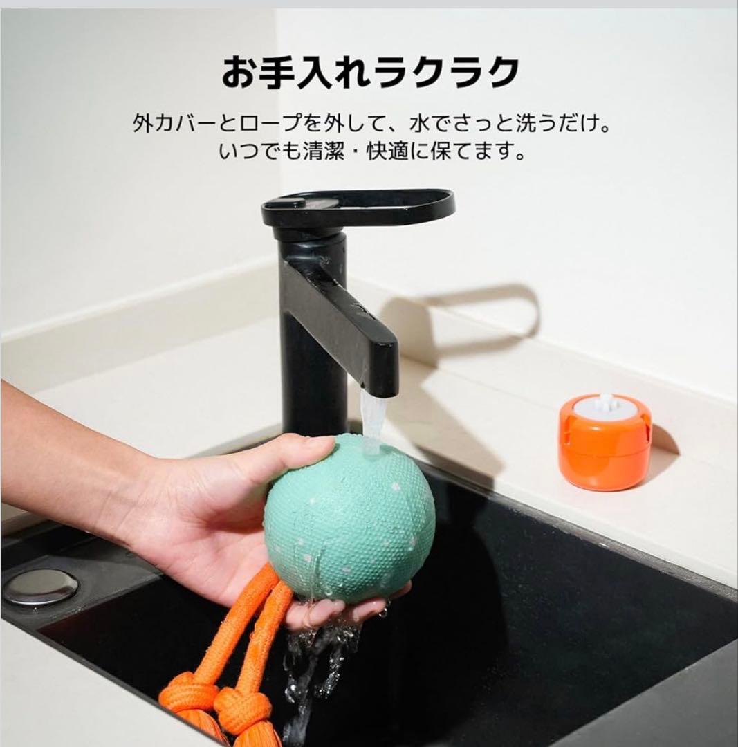 【未使用品】Wicked Ball Rolly 犬用おもちゃ