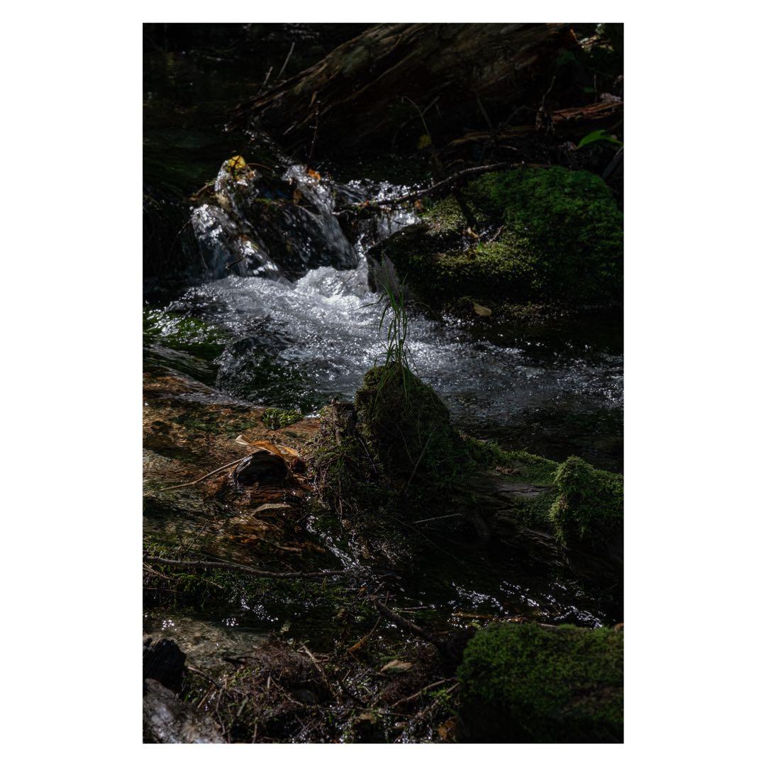 FUJIFILM X-S10 ブラック