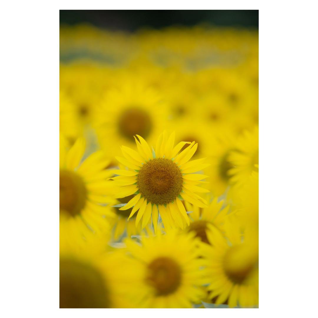 FUJIFILM X-S10 ブラック