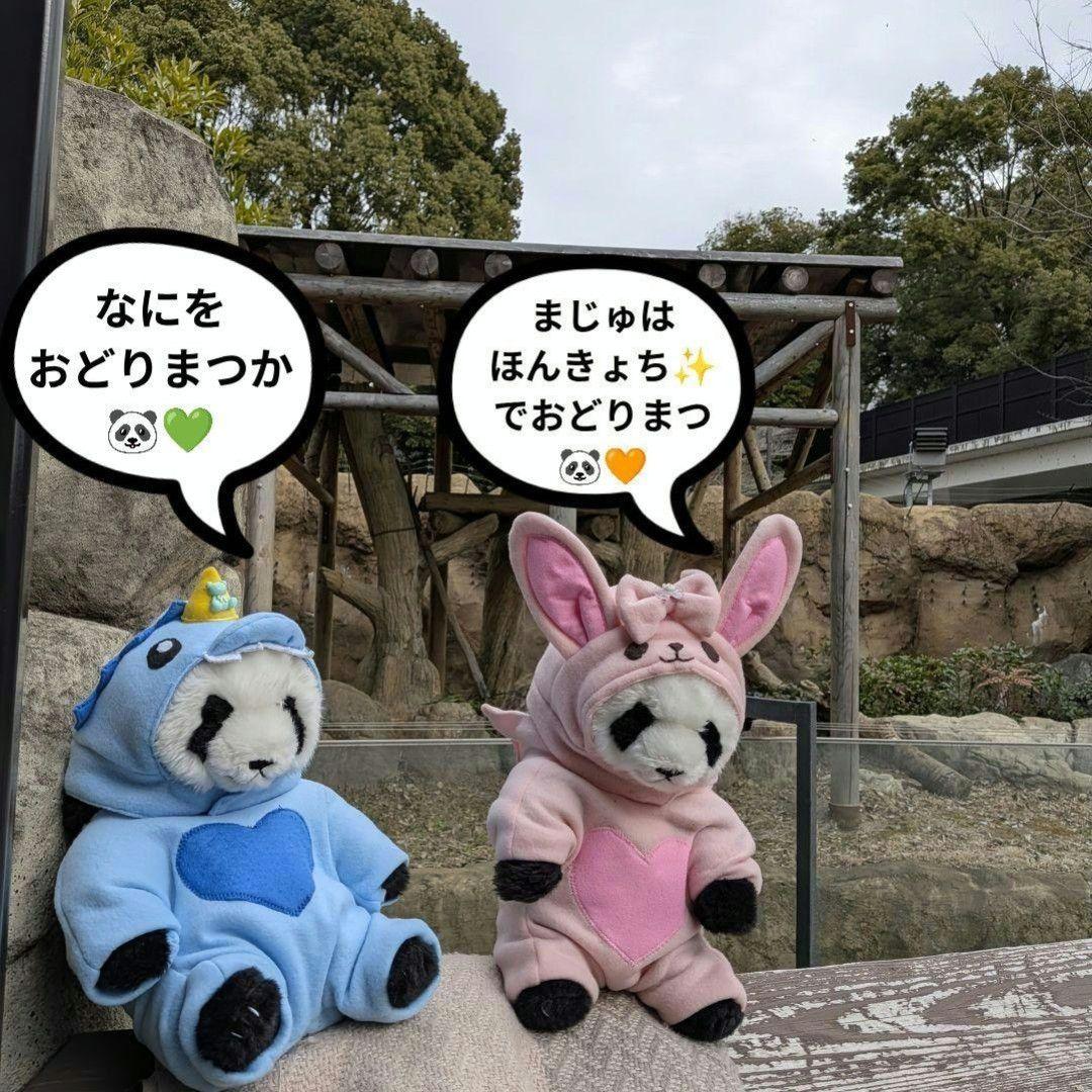 【シャンシャン様オーダー】だっこシャオレイ♡怪獣うさぎ変身コスチュームセット