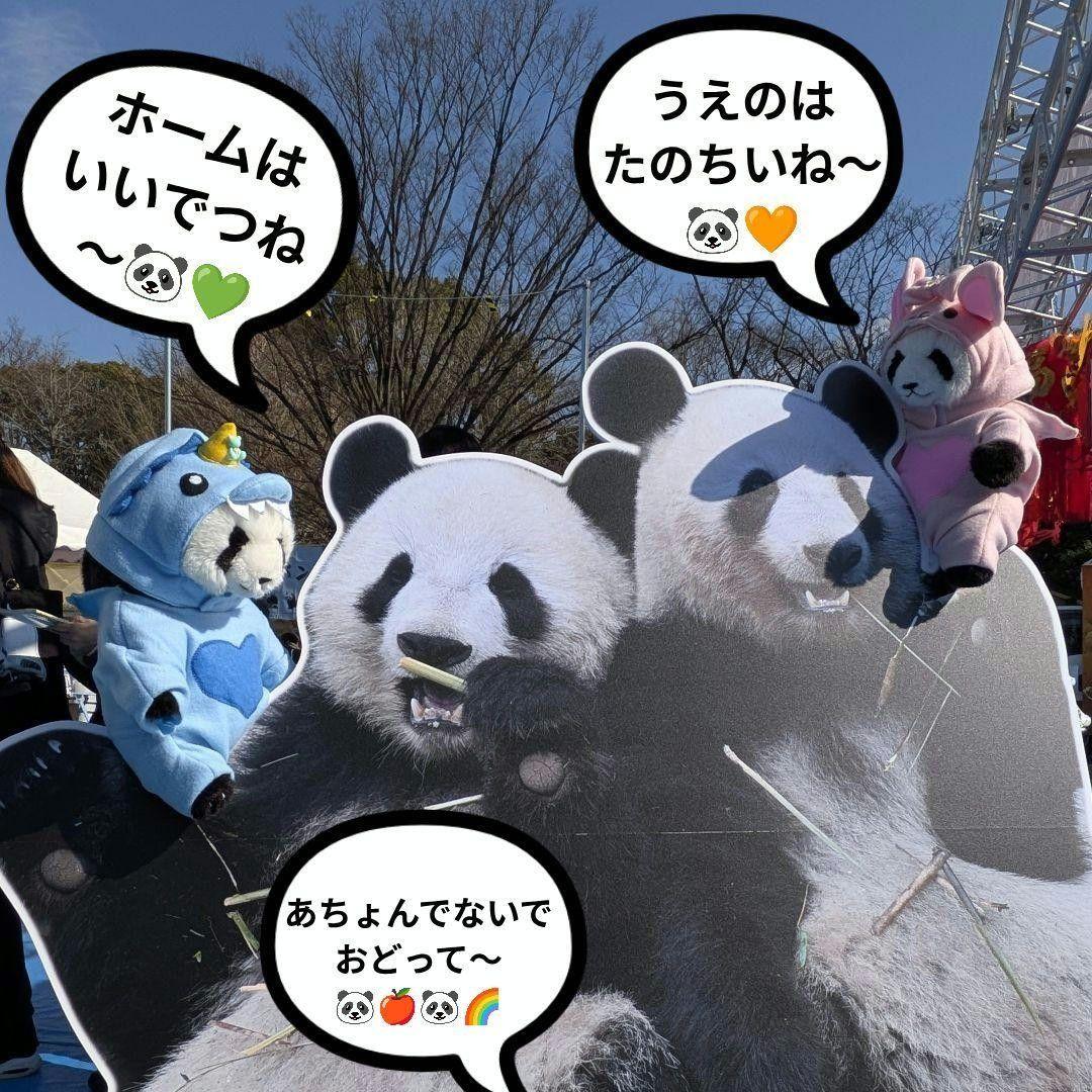 【シャンシャン様オーダー】だっこシャオレイ♡怪獣うさぎ変身コスチュームセット