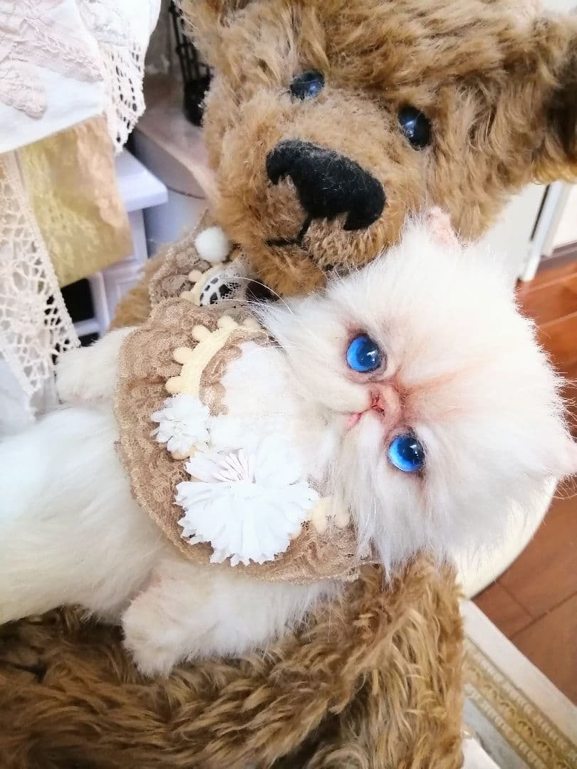抱っこちゃん❤️猫*エキゾチック❤️ハンドメイド*ぬいぐるみ❤️抱っこにゃん❤️