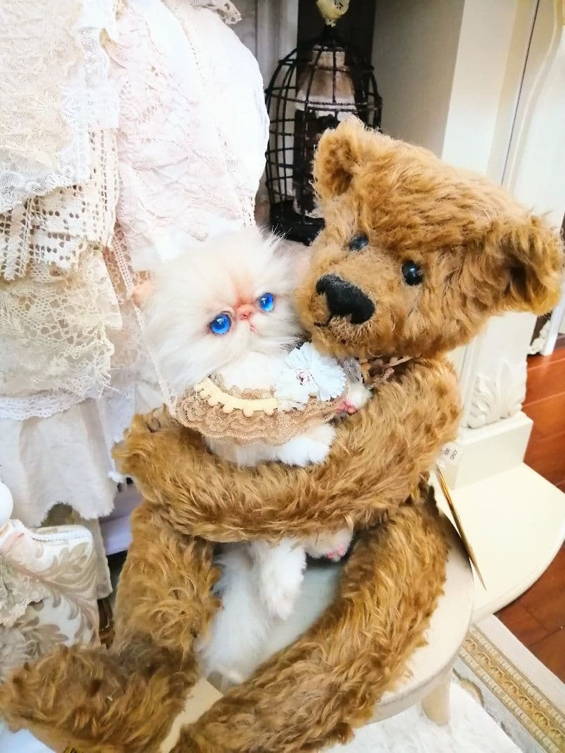 抱っこちゃん❤️猫*エキゾチック❤️ハンドメイド*ぬいぐるみ❤️抱っこにゃん❤️
