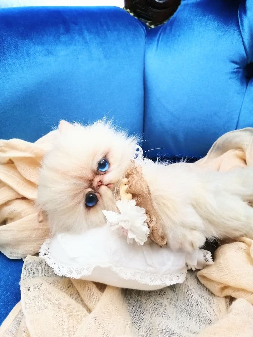 抱っこちゃん❤️猫*エキゾチック❤️ハンドメイド*ぬいぐるみ❤️抱っこにゃん❤️