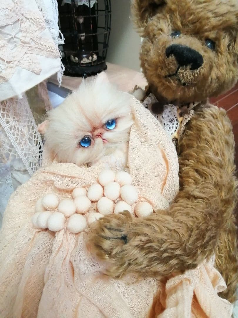 抱っこちゃん❤️猫*エキゾチック❤️ハンドメイド*ぬいぐるみ❤️抱っこにゃん❤️