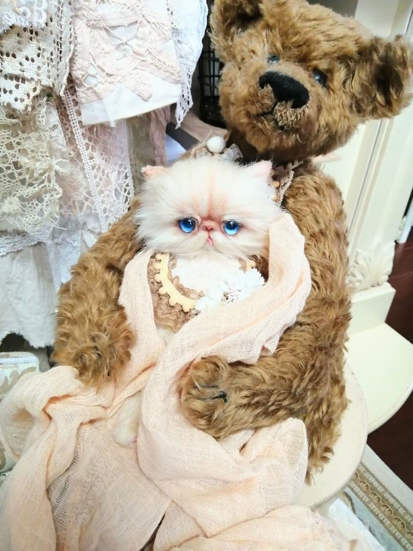 抱っこちゃん❤️猫*エキゾチック❤️ハンドメイド*ぬいぐるみ❤️抱っこにゃん❤️