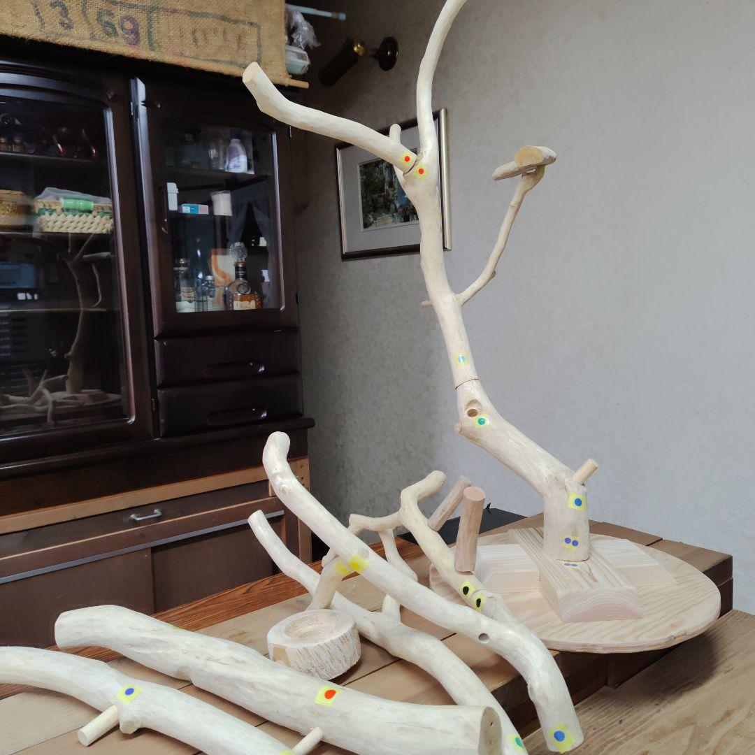 インコバードアスレチックジム楽園シリーズ⑥
