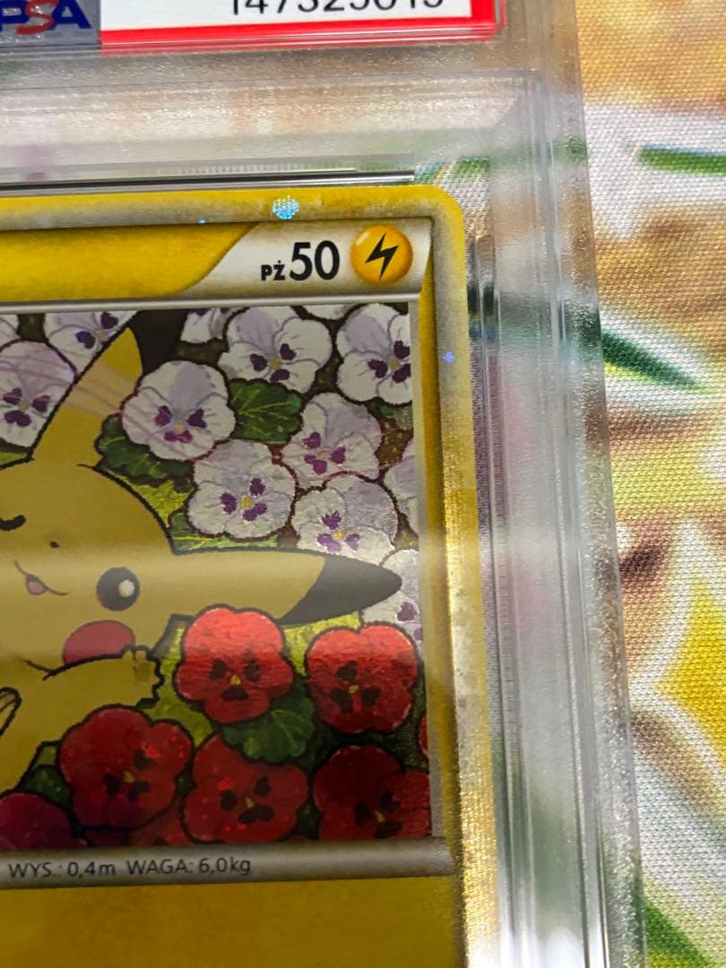 PSA10☆ピカチュウワールド ピカチュウ 2010年 プロモ ポーランド