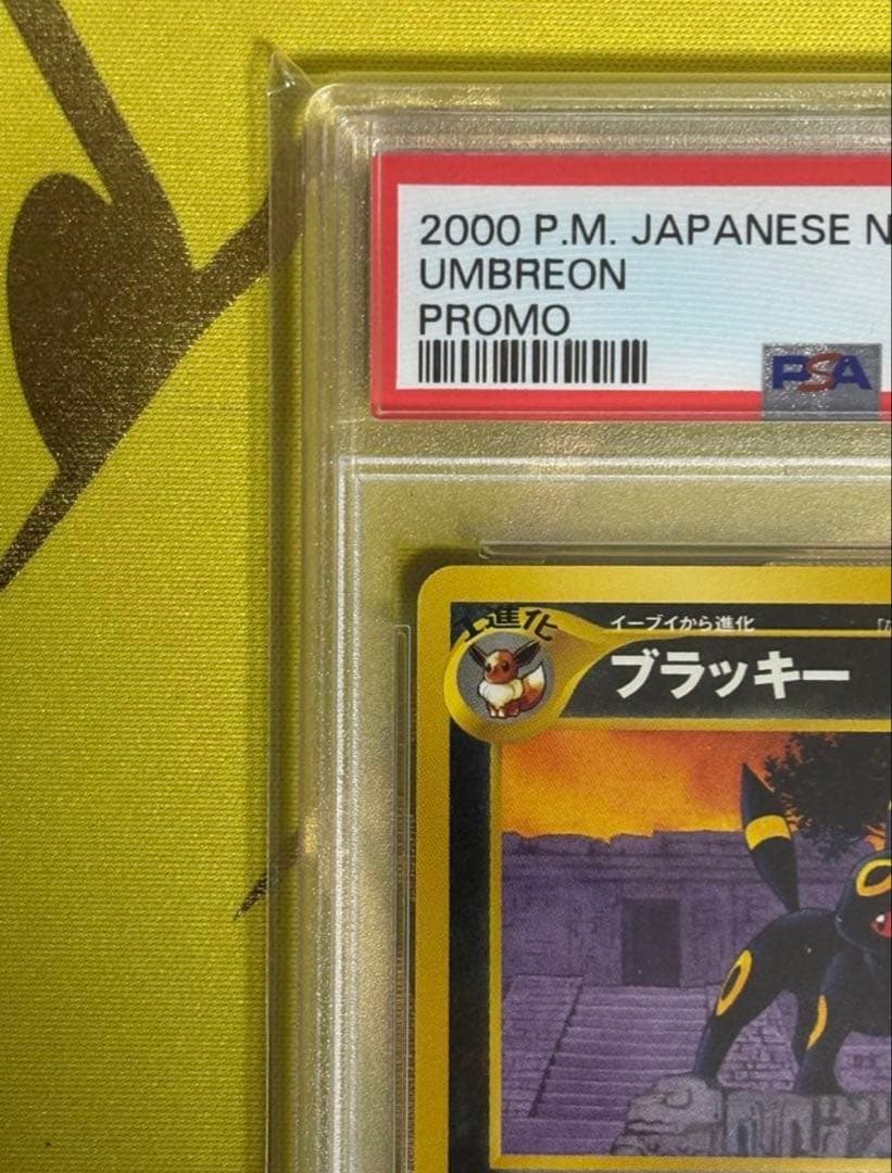 【ブラッキー旧裏】PSA８ ポケモンカード 防湿庫保管