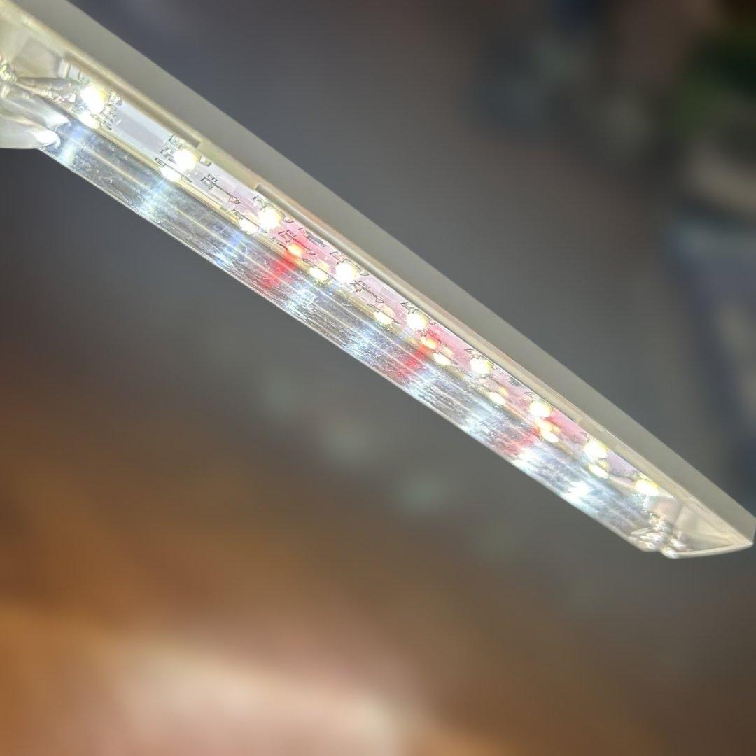 水槽 コトブキ LEDライト GEX 掃除用具 フィルター オブジェ ヒーター