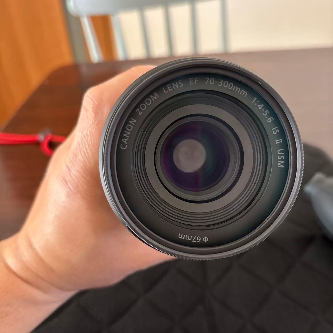 Canon EF70-300mm F4-5.6 IS II USM フード付き