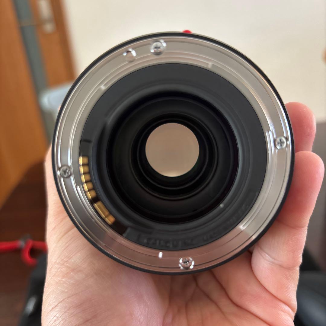 Canon EF70-300mm F4-5.6 IS II USM フード付き