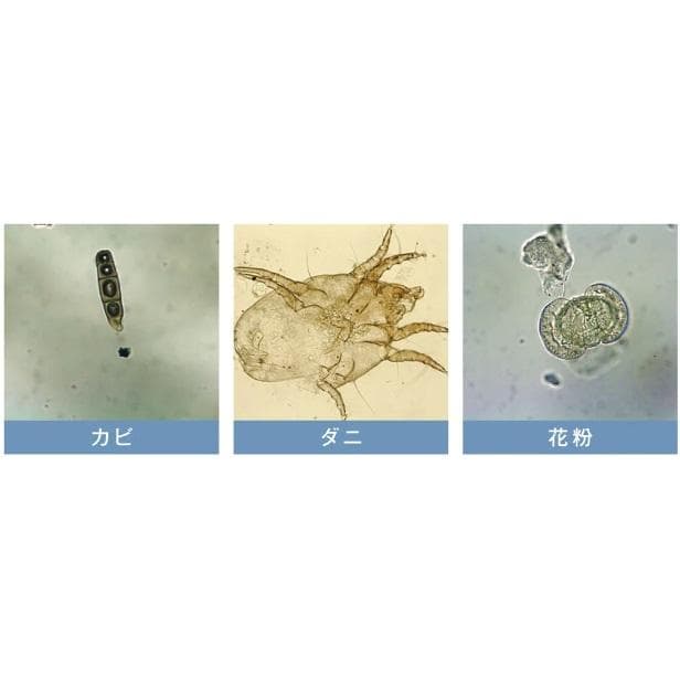 花粉対策　空気清浄機イオニックブリーズGRNDE カフェモカ　39