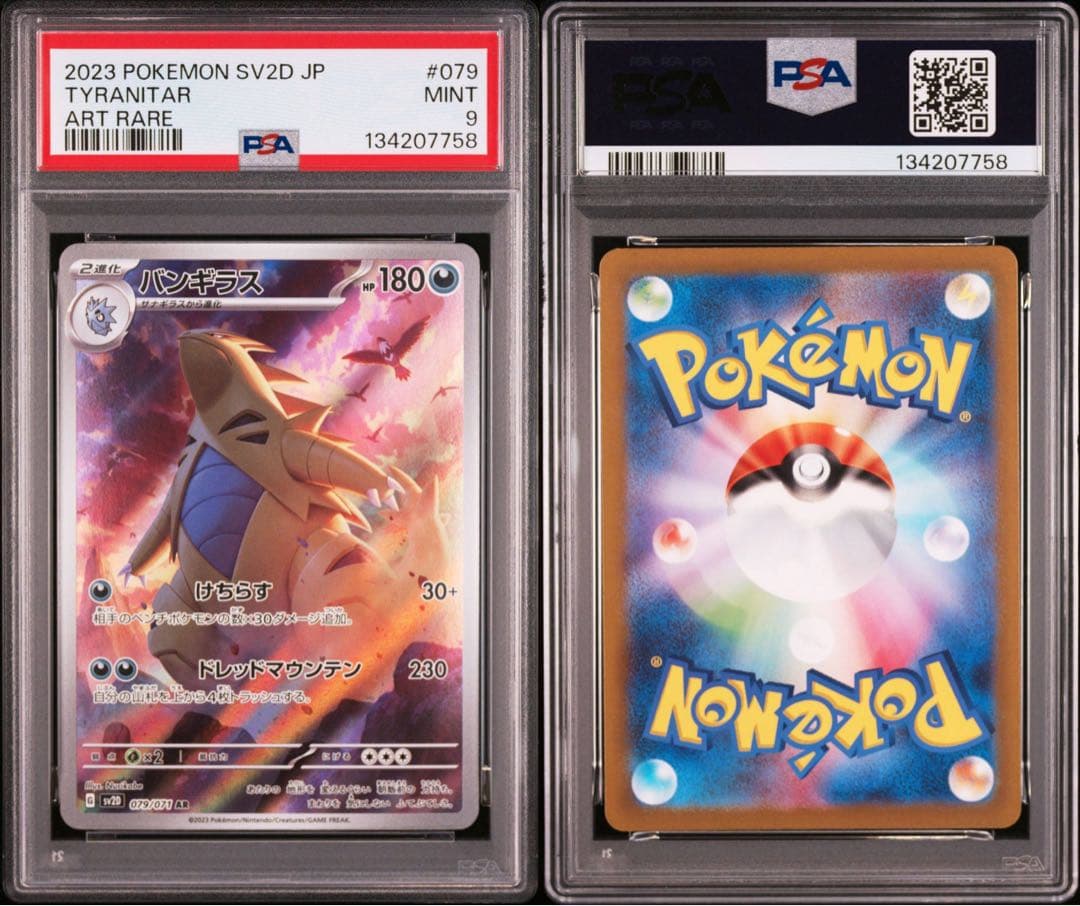 連番 バンギラス エムリット ar PSA10 9