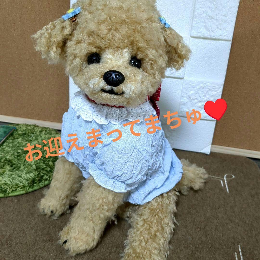 あみぐるみ　インテリア　トイプードル　マルプー　羊毛フェルト風
