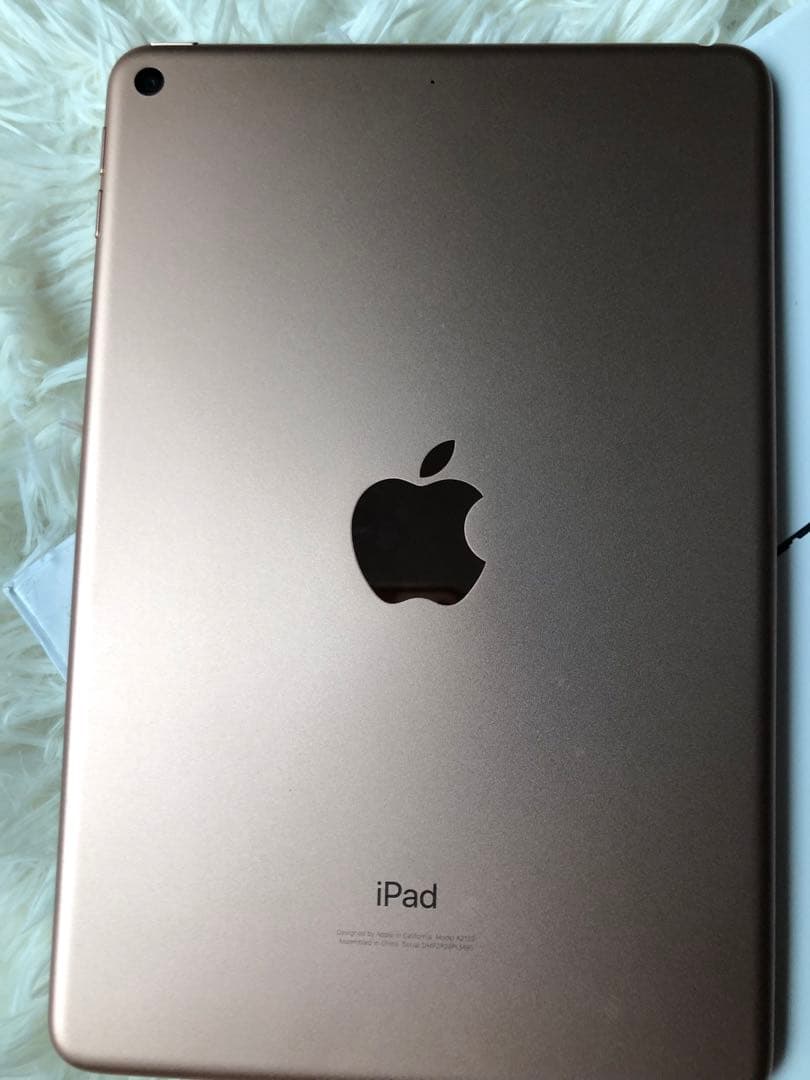 【早い者勝ち】iPad mini5 64GB 【すぐ発送】