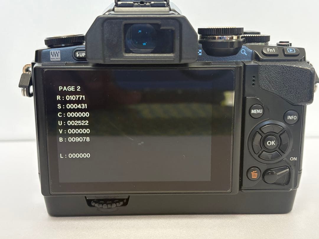 OLYMPUS OM-D E-M10 (付属品あり）