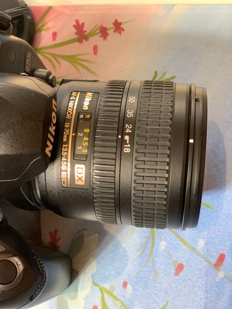 状態良好なニコン D70s + 18-70 レンズ