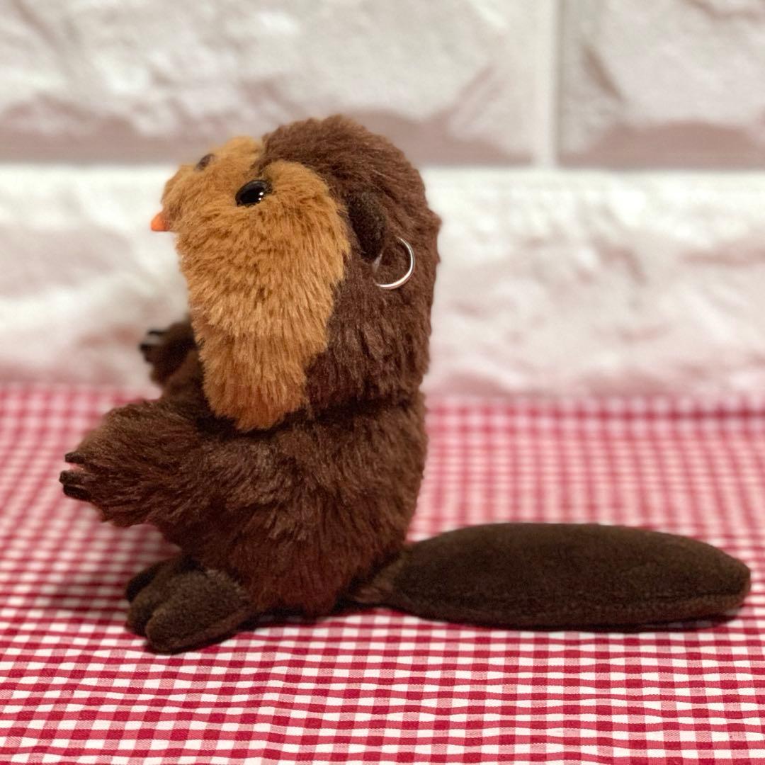 【⑧様】 レッサーパンダさん たぬきさん アメリカビーバーさん 着ぐるみ ぬい服