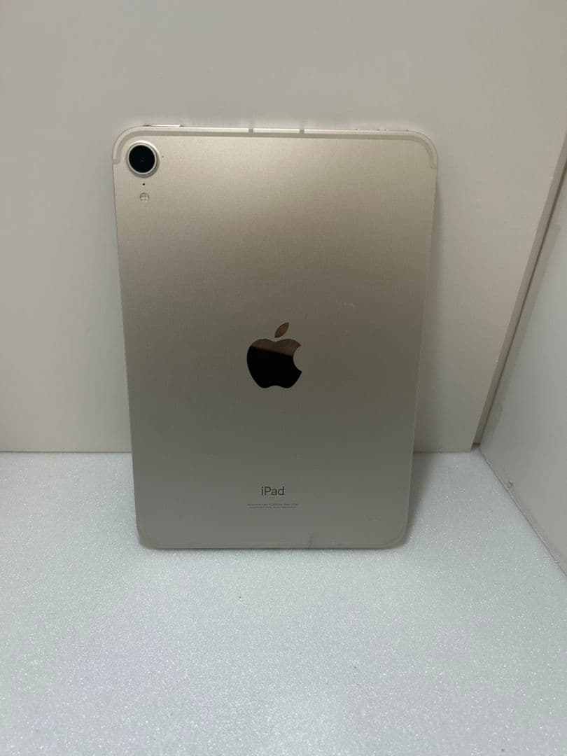 iPad本体 iPad mini