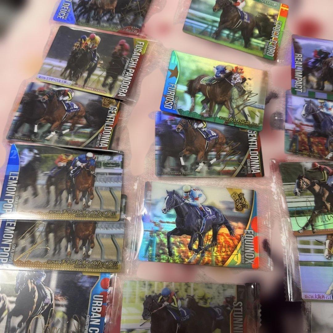 格安 引退セット サラブレッドホースコレクション 金箔サイン15枚含44枚セット