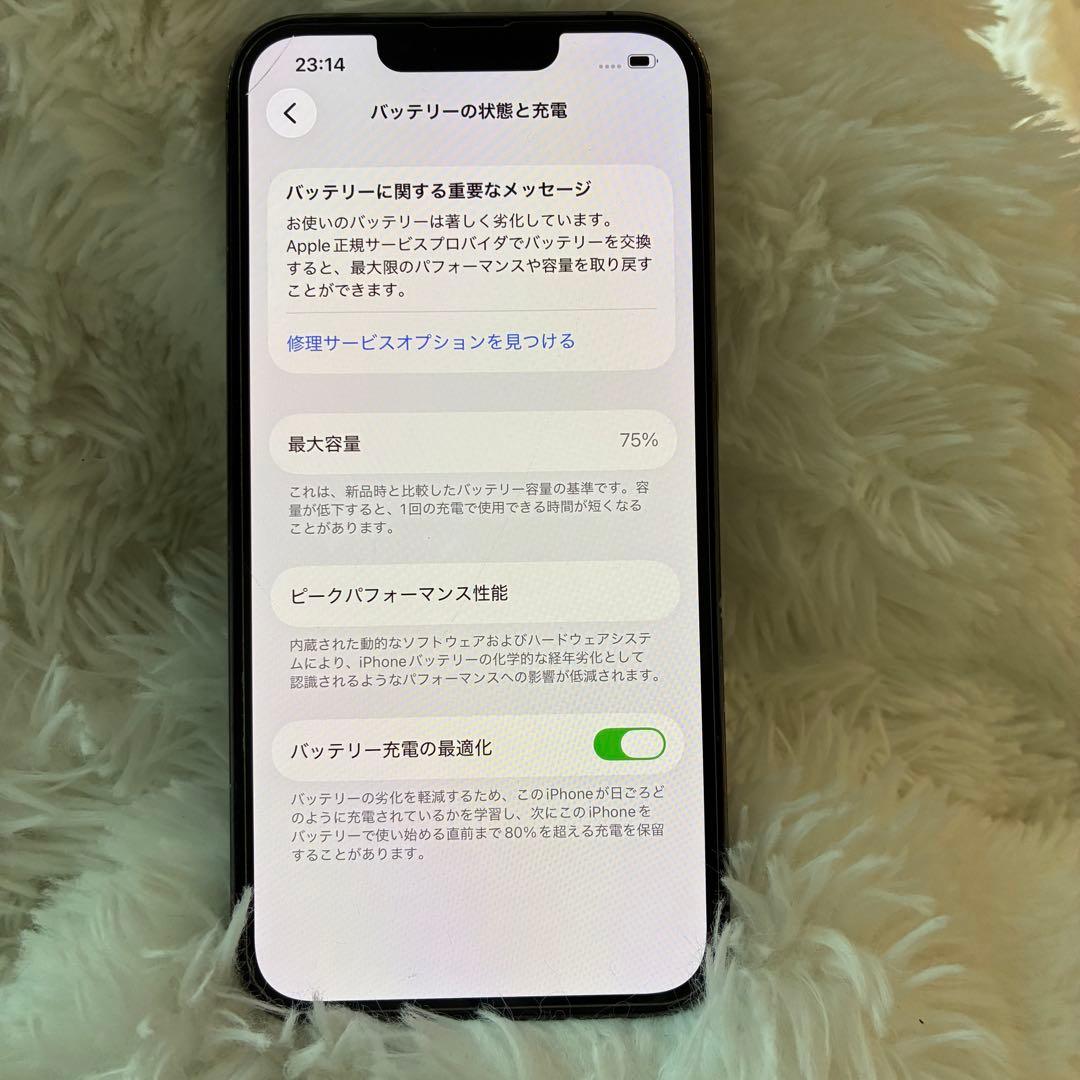 Apple iPhone 13 Pro グラファイト 本体　256GB