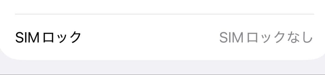 Apple iPhone 12 Pro Max 128GB SIMフリー 美品