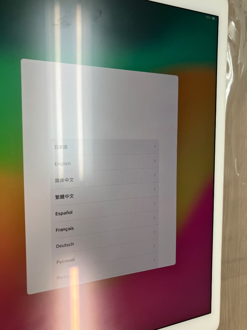 Apple iPad Pro 12.9 第2世代 A1670 WiFi 64GB
