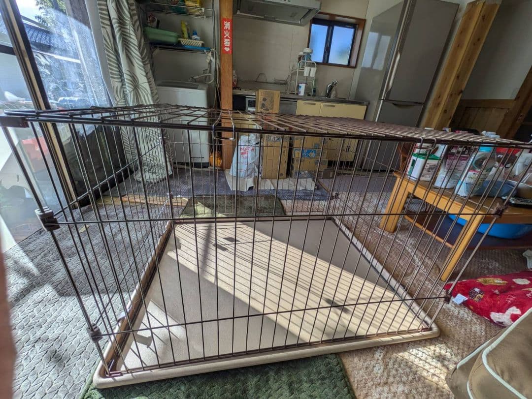 値下げ中 pet ami ゲージ