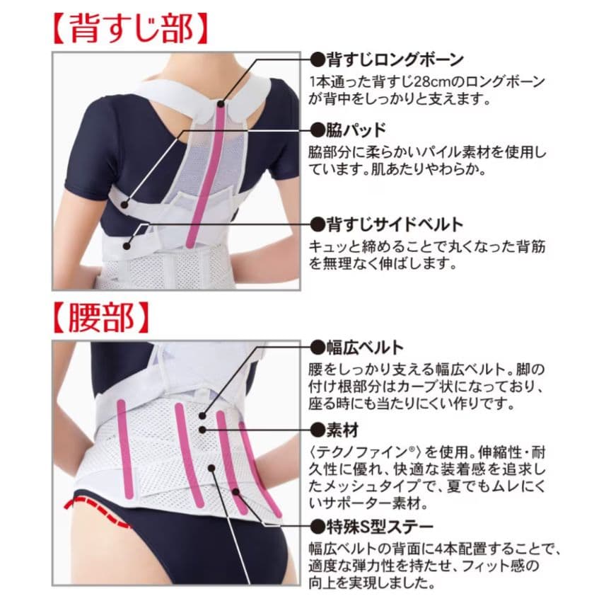 アルファックス お医者さんの腰から正す姿勢ベルト 姿勢サポーター LL-3L