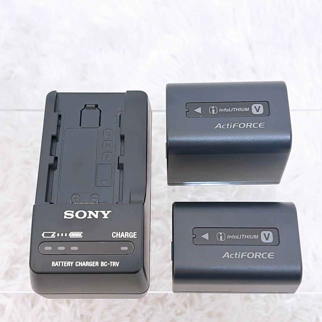【付属品多数】SONY ハンディカム HDR-CX270V ソニー ビデオカメラ