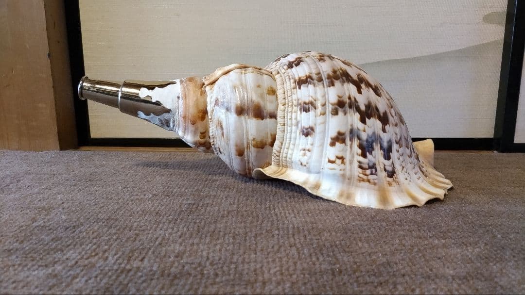 法螺貝　⑩