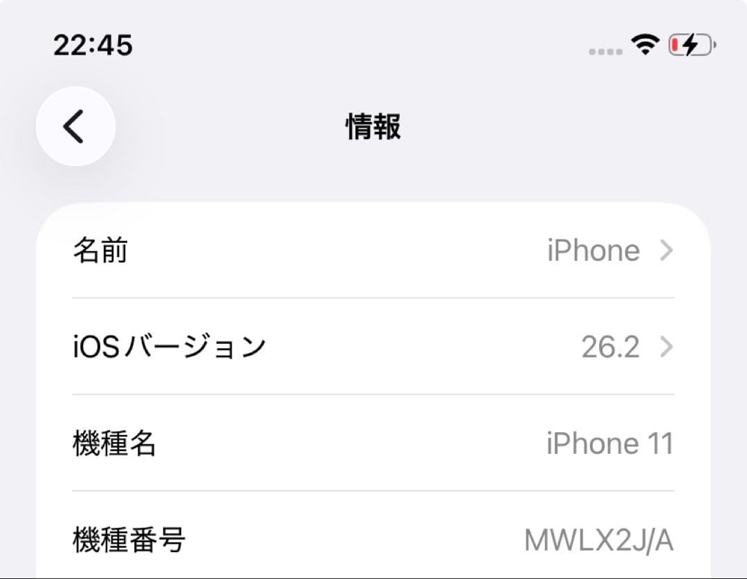 iPhone11 64GB パープル　EarPods SIMピン