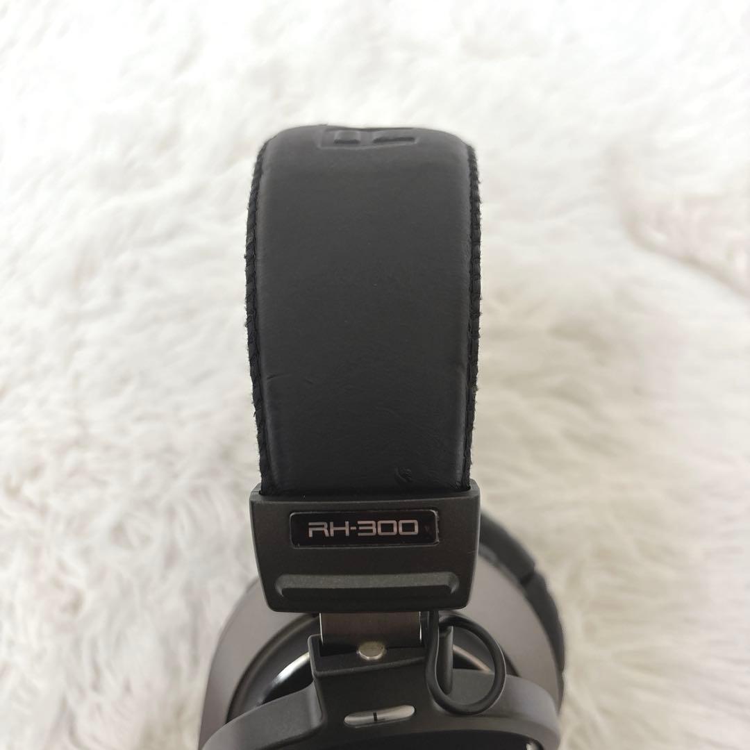 Roland ローランド RH-300