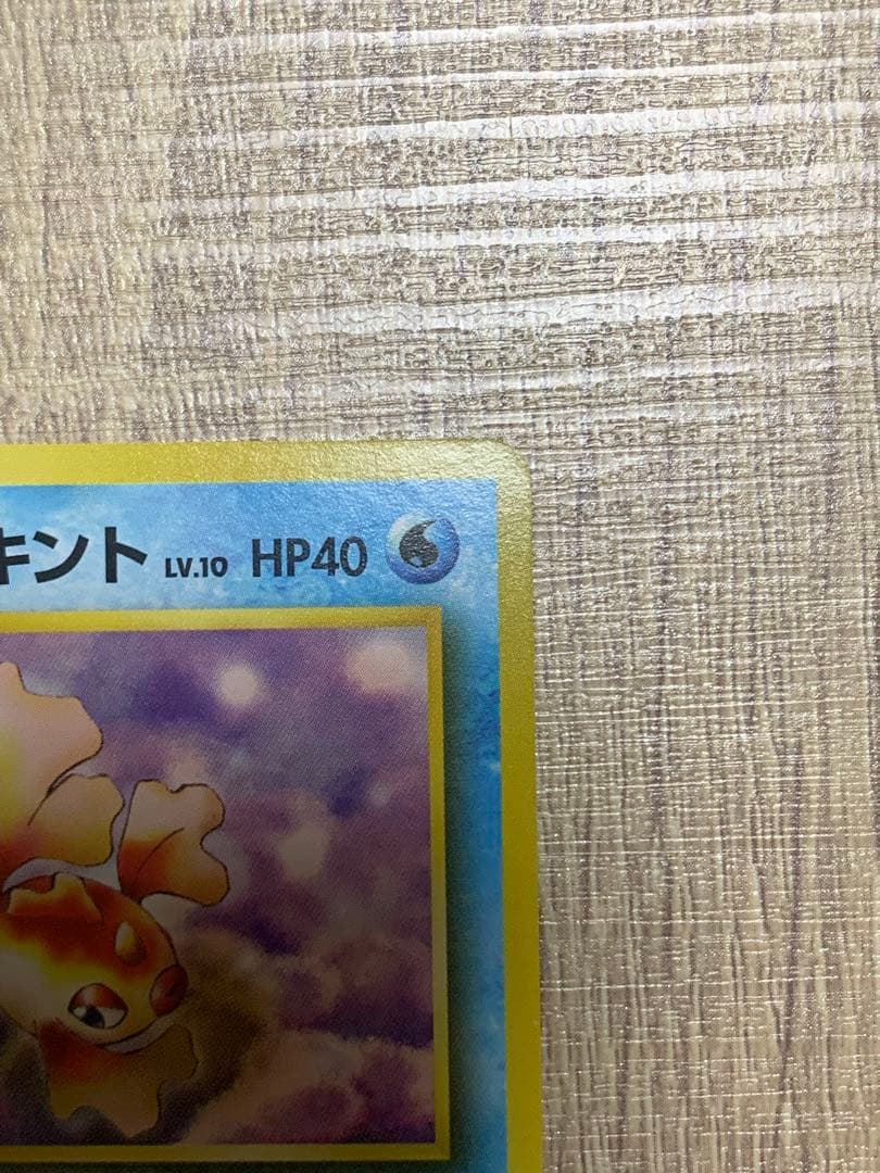 カスミのトサキント ポケモンジム第1弾 ハナダシティジム カスミ　マーク無し