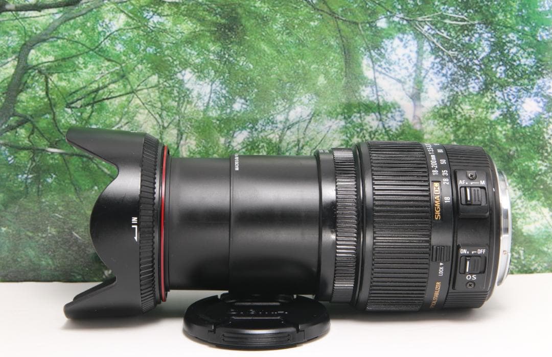 ❤手ぶれ補正して遠くも近くも撮れる☆シグマ 18-200mm DC キャノン用❤