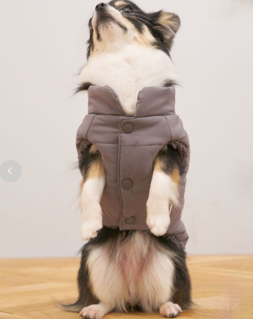 ★新品★ gelato pique CAT&DOG 中綿ダウン グレー Ｍ