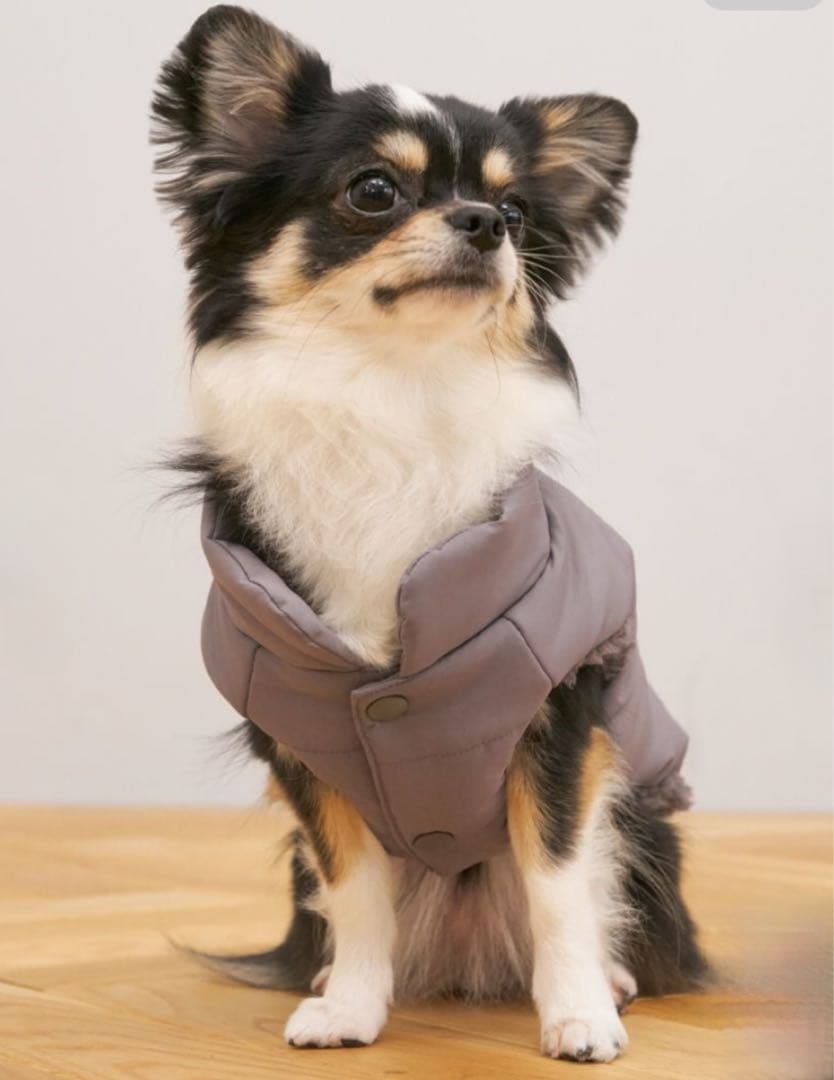 ★新品★ gelato pique CAT&DOG 中綿ダウン グレー Ｍ