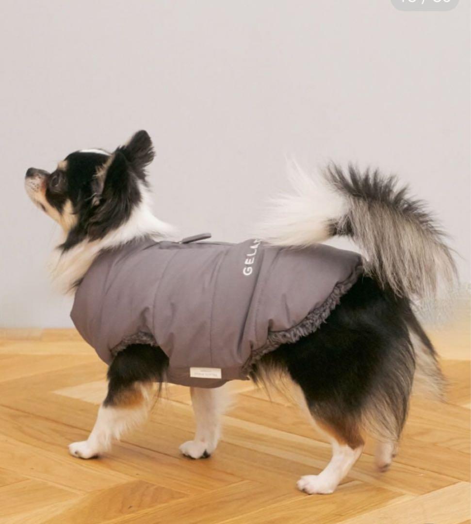★新品★ gelato pique CAT&DOG 中綿ダウン グレー Ｍ