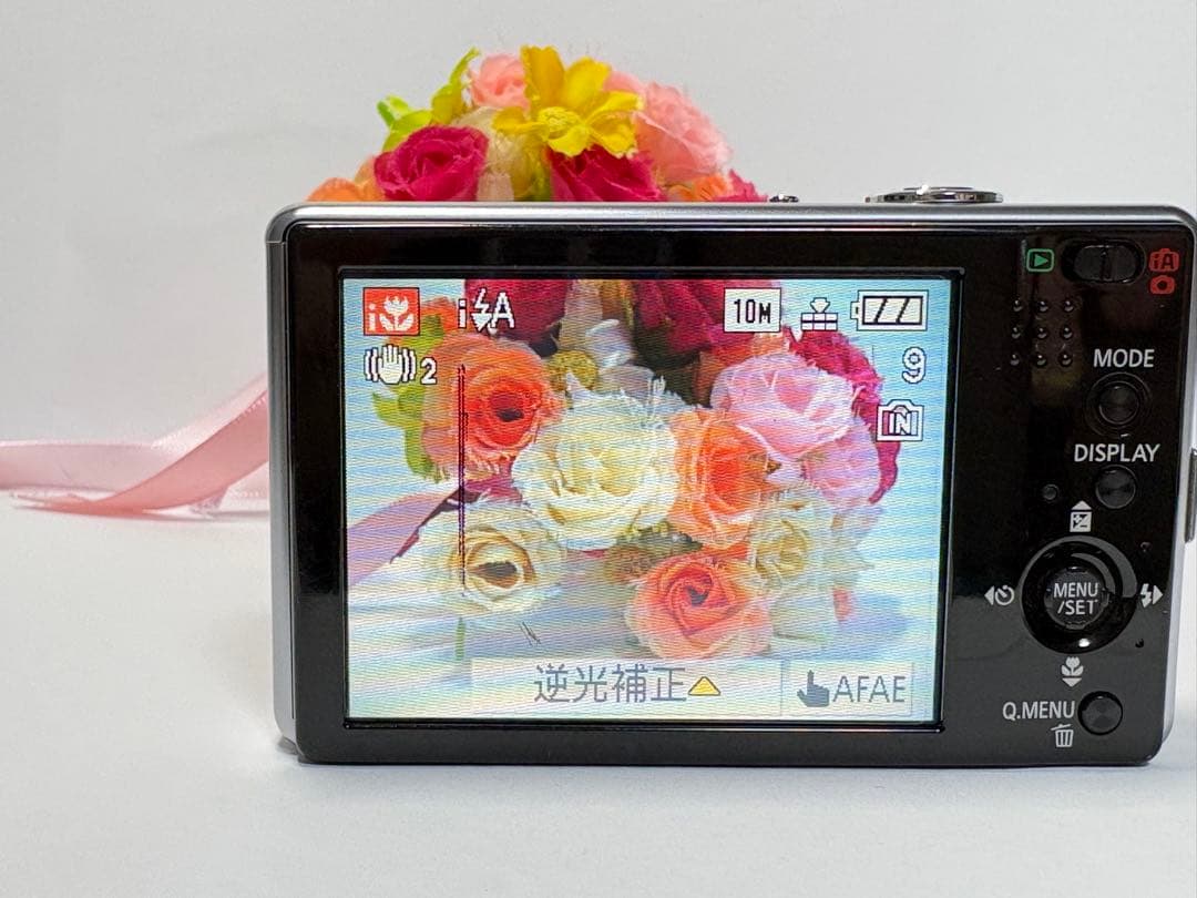 Panasonic LUMIX DMC-FX500 コンパクトカメラ コンデジ