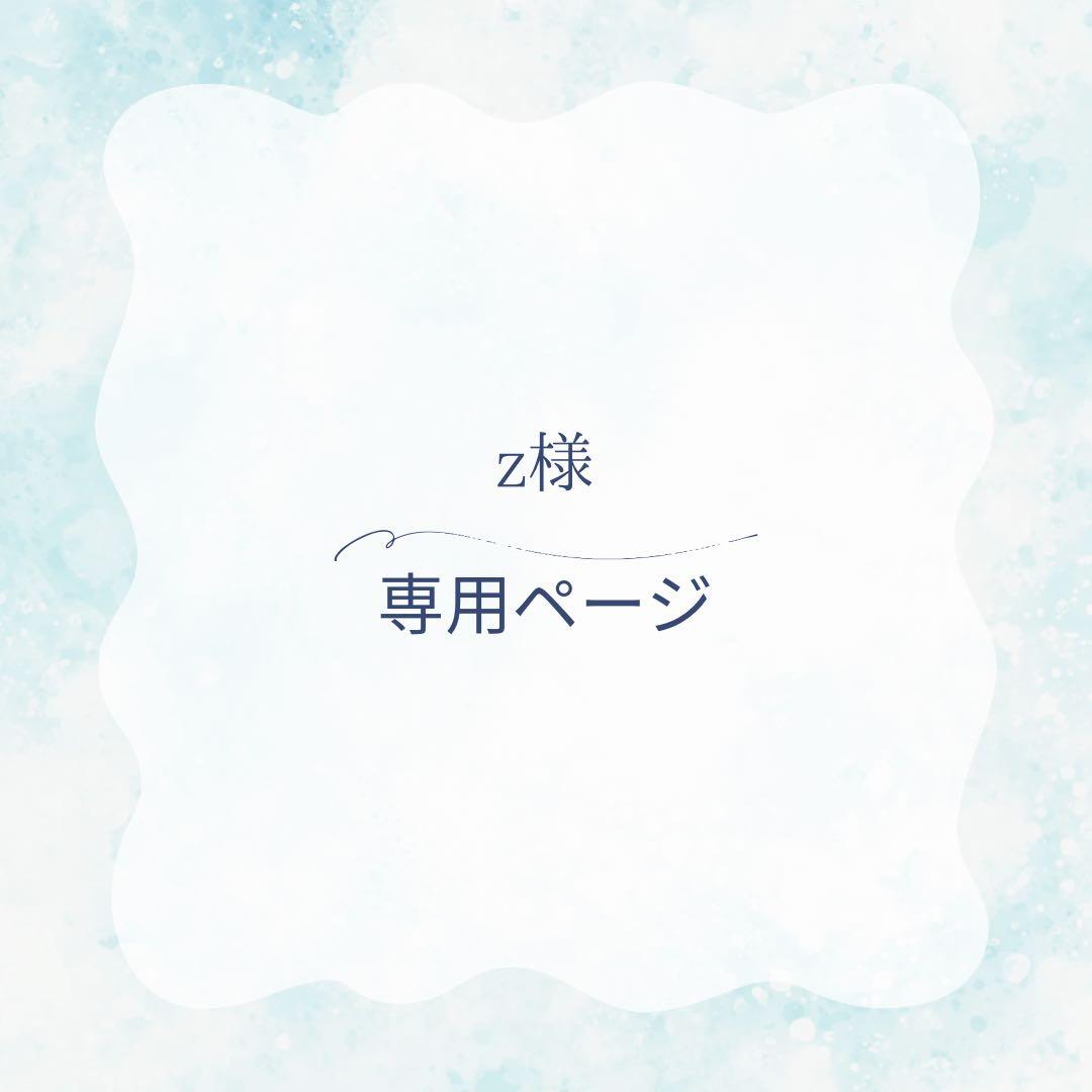 Zページ