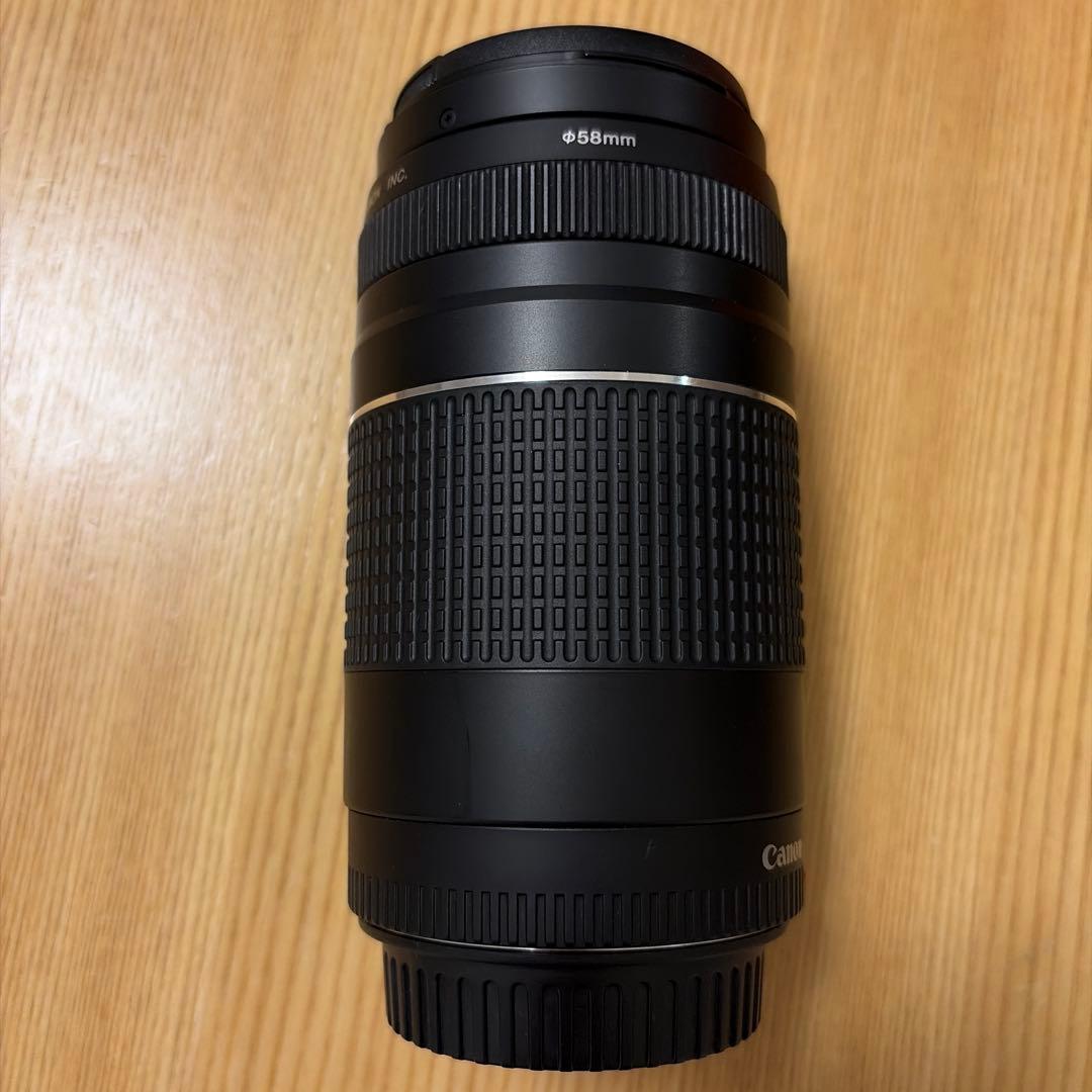 Canon EF 75-300mm F4-5.6 III 望遠レンズ
